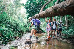 BIB: 
                            <button type="button" onclick="openModal(25372629)" class="btn btn-primary btn-sm float-right btn-popup" data-toggle="modal" data-target=".modal-high-quality">
                        <i class="fas fa-shopping-cart"></i> Add to Cart
                    </button>
                                            <button type="button" onclick="isThisMe(25372629, true)" class="btn btn-success btn-sm float-right btn-popup btn-isme hidden" data-toggle="tooltip" data-placement="bottom" title="นี่คือรูปของคุณใช่ไหม คลิกที่นี่เพื่อเอาเข้าอัลบั้ม">
                        <i class="fas fa-plus"></i> Add to album
                    </button>
                    <button type="button" onclick="isThisMe(25372629, false)" class="btn btn-warning btn-sm float-right btn-popup btn-isnotme hidden">
                        <i class="fas fa-ban"></i> Remove from album
                    </button>